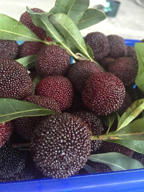 找回食材本来的味道,吃杨梅如何去虫子