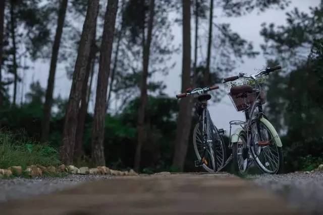 成都明月村值得去吗,成都附近的明月村在哪里