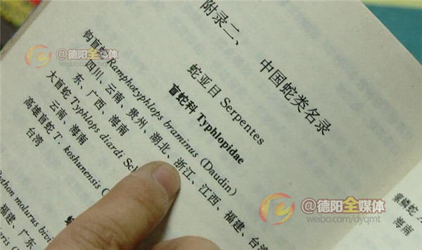 世界上最大的蛇被放生,四川德阳发现蛇