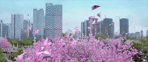 骑行柳州环江滨水观光道,柳州环江滨大道骑行