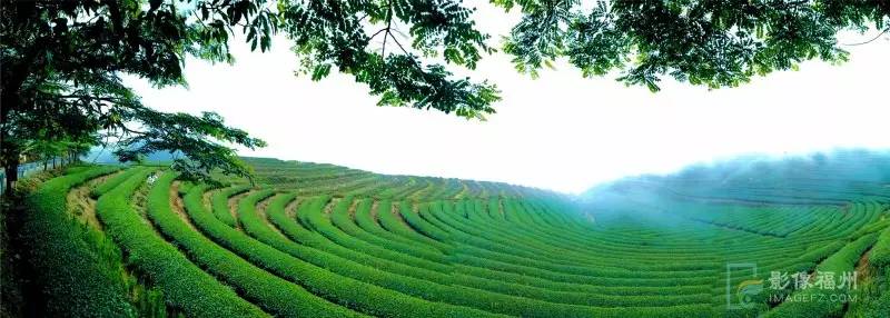 游茶山,游茶山竹海