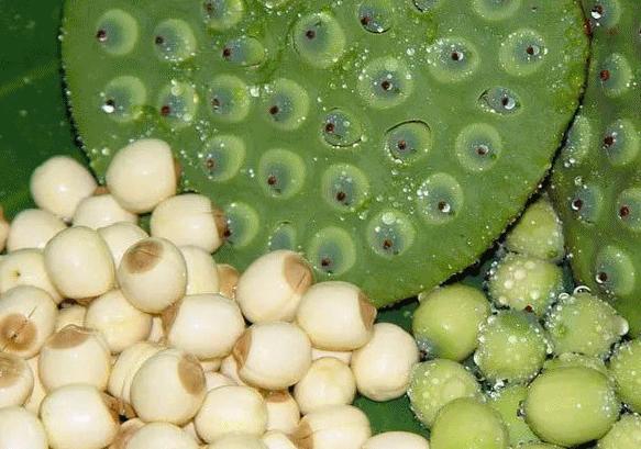 再过10天!苏州这9条新政将正式实施!还将发生9件大事!肯定有一件会影响到你!