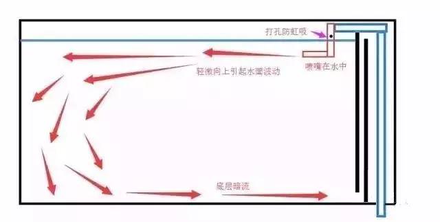 鱼缸用虹吸吸便的效果怎么样,底滤鱼缸吸便能力差