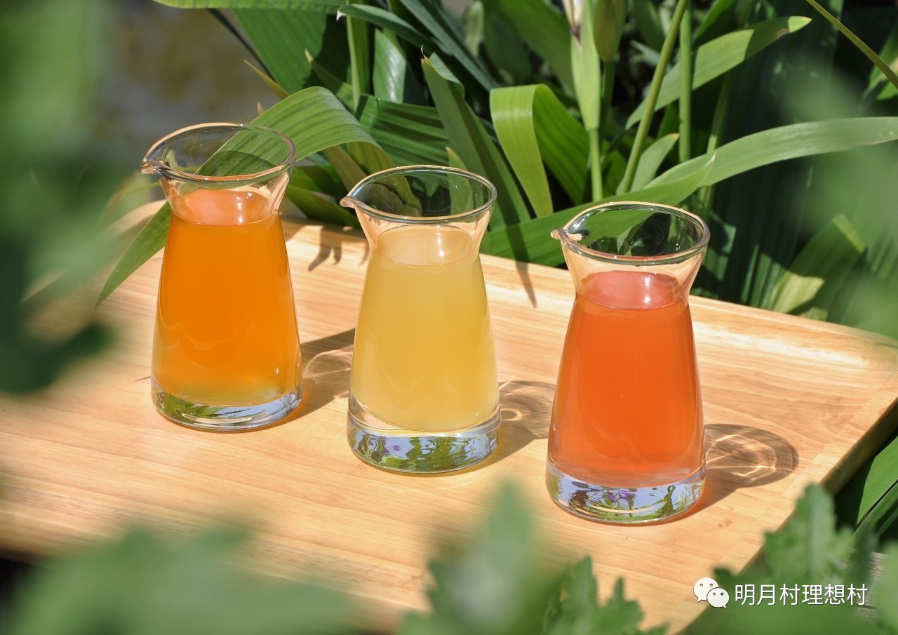 成都明月村值得去吗,成都附近的明月村在哪里