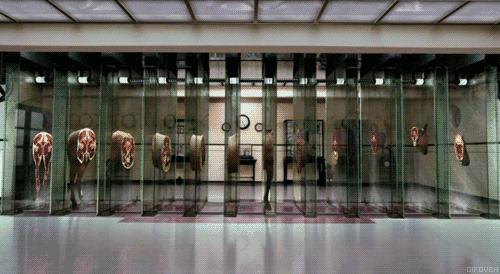 这是我看过最美的情话,这是我看过最美的风景