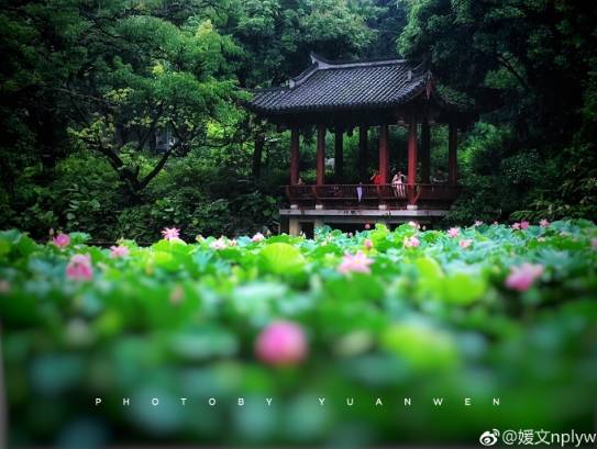 周末一日游详细攻略 (周末带你去旅行攻略)