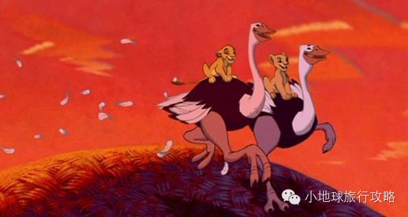 可能是最全的,肯尼亚坦桑尼亚动物百科。小地球耗时一周整理!