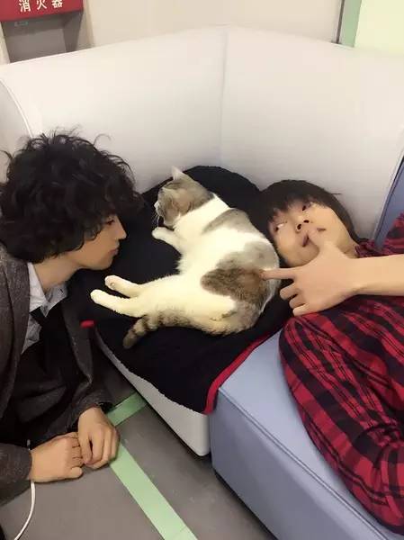 可攻可受|洼田小哥这季的作品怎么都是这个画风!