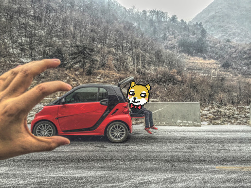 十几万的奔驰两门,奔驰smart两座燃油版