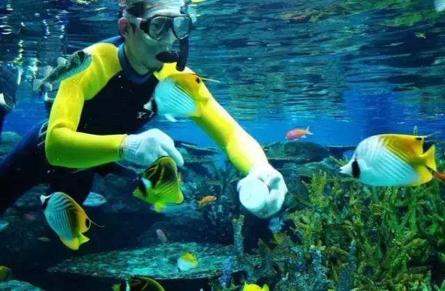 名古屋鳗鱼三吃优惠,名古屋刺身攻略