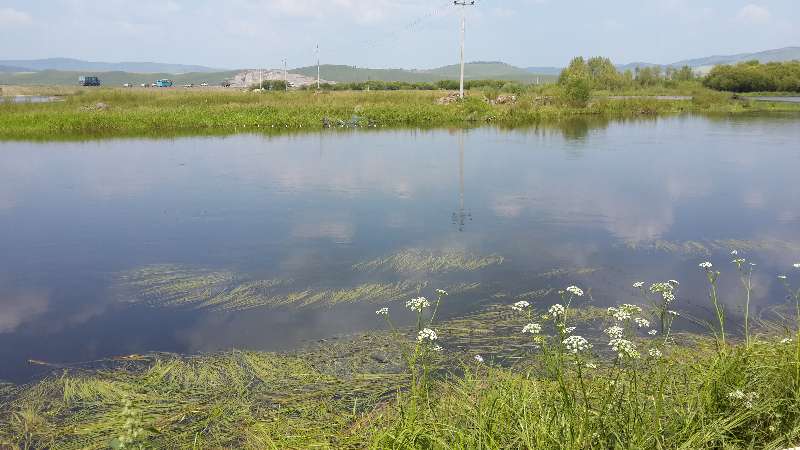 清华虾哥致定西学弟：职业无贵贱、学成来做虾