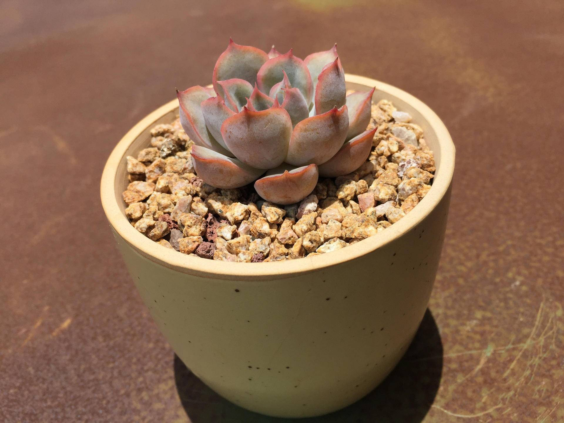 生锈的破铁门图片,生锈的铁门破了