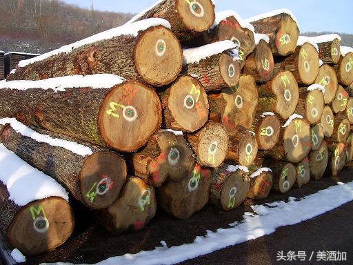 为什么有些红酒味道特别难喝,红酒为什么有苦涩的味道