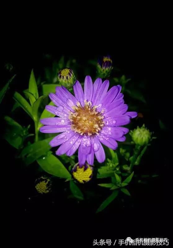 照片裁剪方法和技巧,一招教你怎么拯救照片