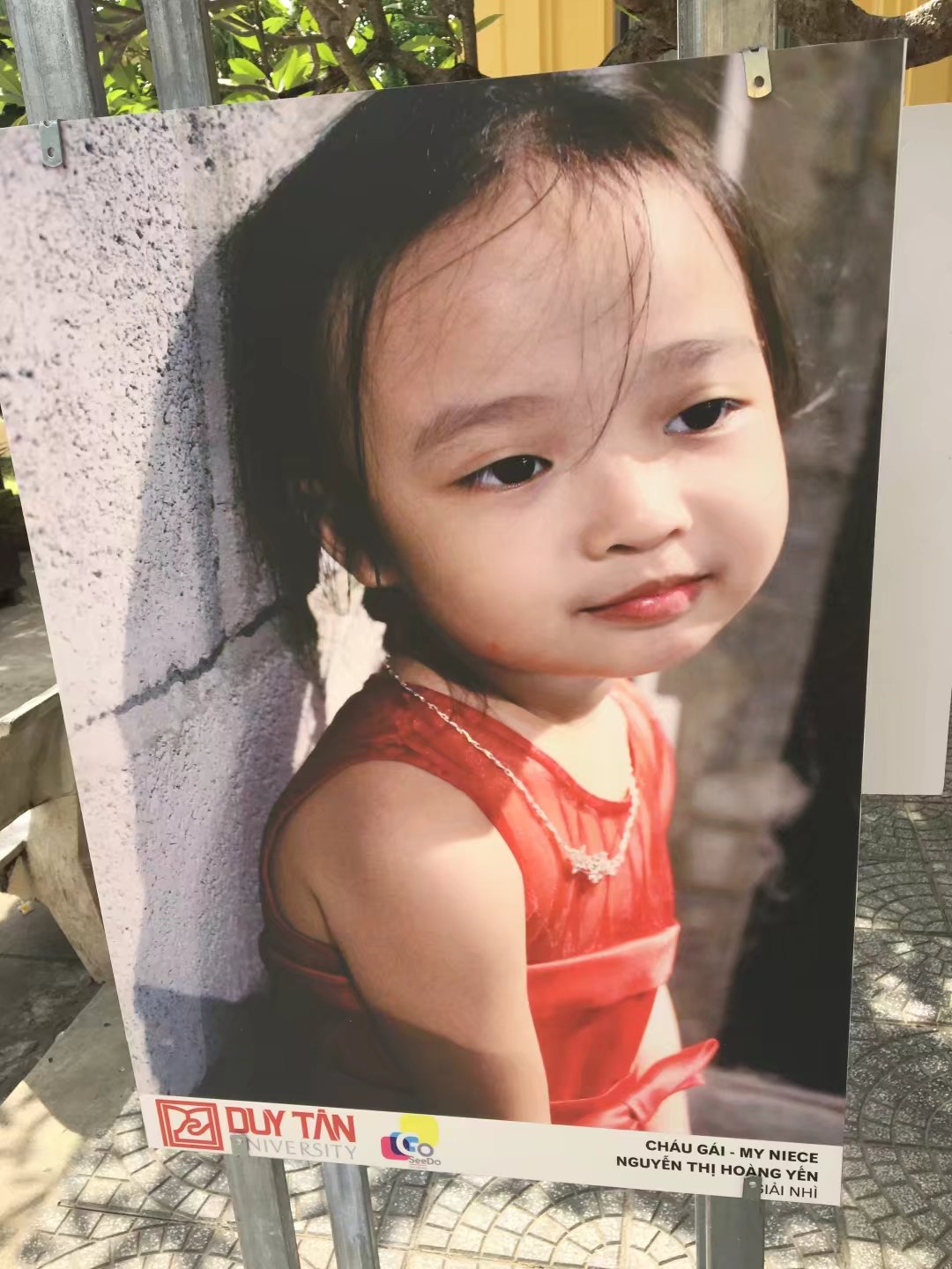 越南五日游费用,5000元越南30天旅行攻略