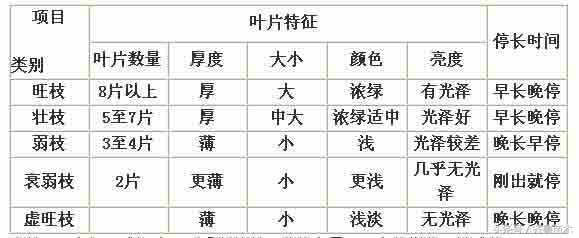 夏季果树环剥要慎重，不是所有果树都可以环剥哦！（附各类果树环剥操作技术）