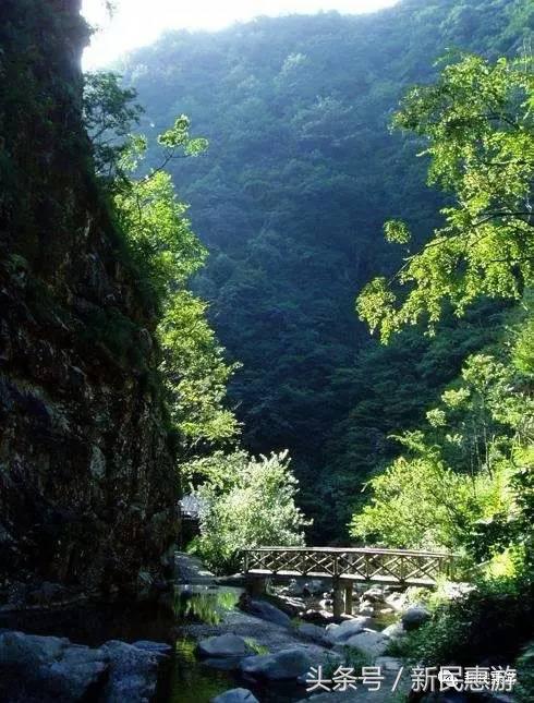 走进太湖走进大自然放松心情,太湖生态秘境之旅