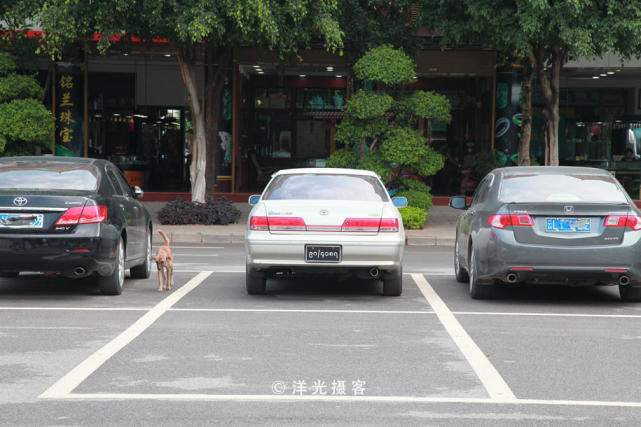 芒市最大玉石交易市场,瑞丽都有哪三大玉器市场