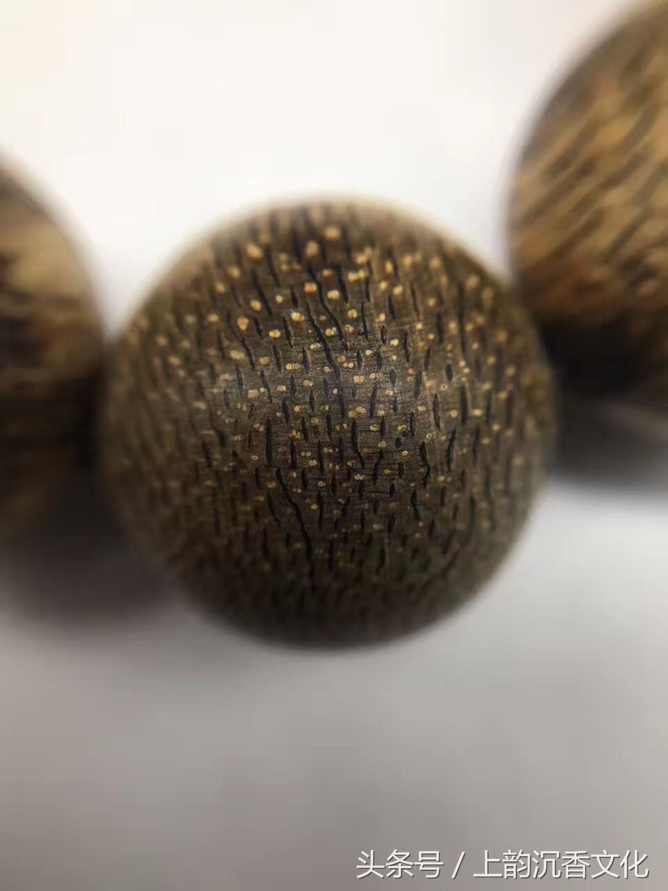 奇楠沉香的市场真正行情,奇楠沉香种植收购价格