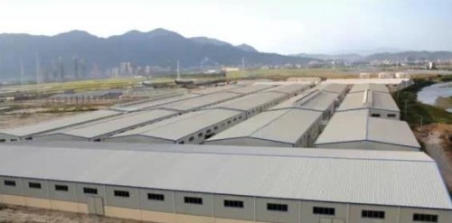 恩斯特文化产业集团,恩斯特文化科技有限公司