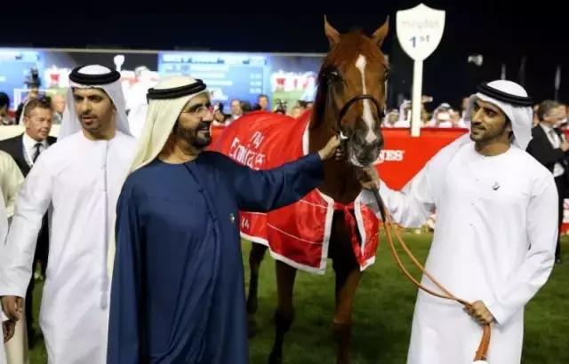 沙特最帅王子哈曼丹,阿联酋王子哈曼丹照片