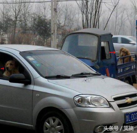 机智少年游戏套路攻略,搞笑玩游戏接电话视频