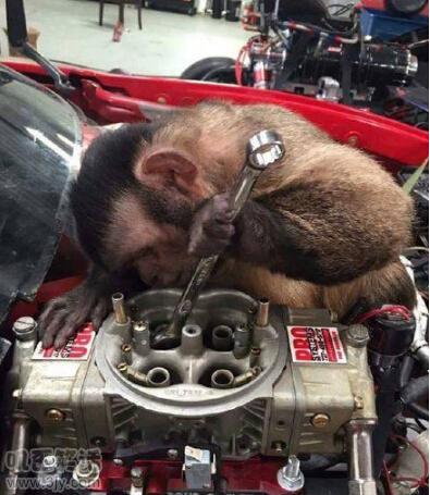 一个网吧网管在自杀前的遗书，看完还能再笑一会