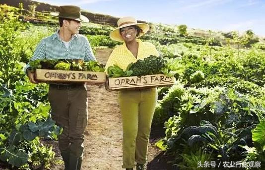 农场经营模式成功案例,农场经营模式和思路