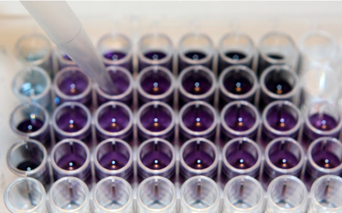 胎盘干细胞前景,胎盘干细胞移植目前成熟吗