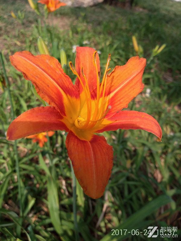 360n5s真实测评,从善如流还是从善如流