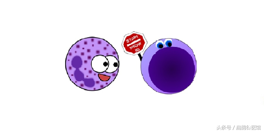 厨房胡椒粉有什么作用,胡椒在做菜的时候起什么作用