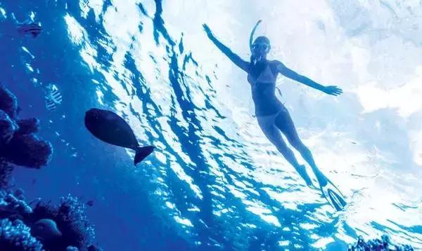 浮潜风险,游泳浮潜的正确方法