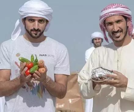 沙特最帅王子哈曼丹,阿联酋王子哈曼丹照片