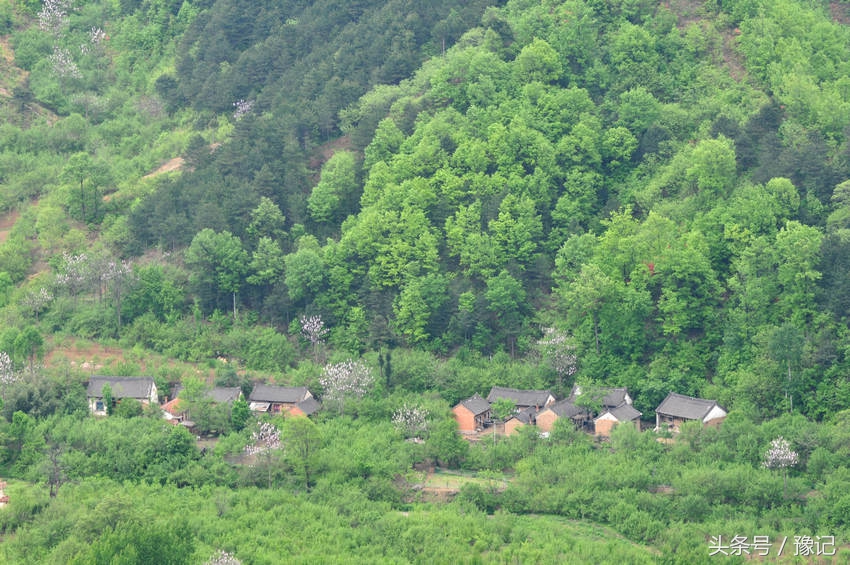 *款贷**也得出去逛，一个“穷逛蛋”靠一百元钱在郑汴洛逛了半个月