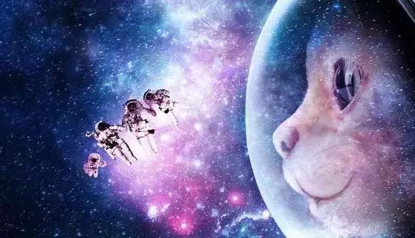 电影保护月是中国独有的吗,保护月电影