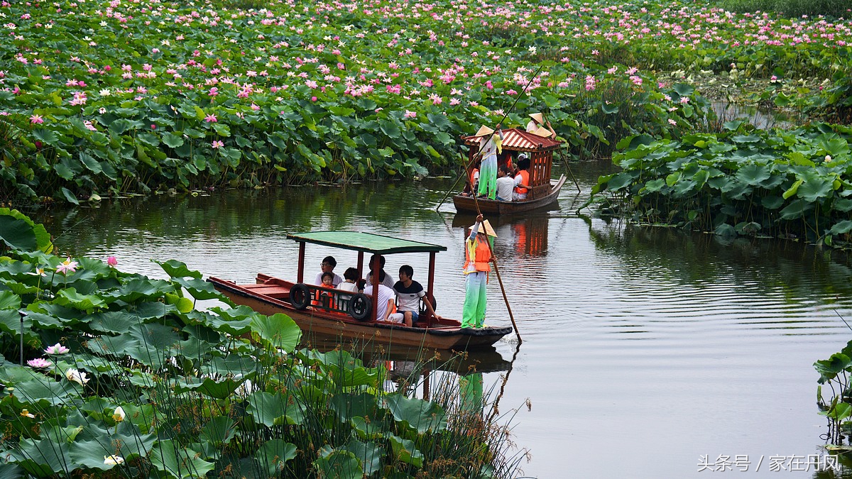 丹凤县的地域文化,商洛市丹凤县的名胜古迹