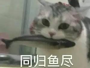 鱼钩钩到手指怎么办,鱼钩钩住手会得破伤风吗