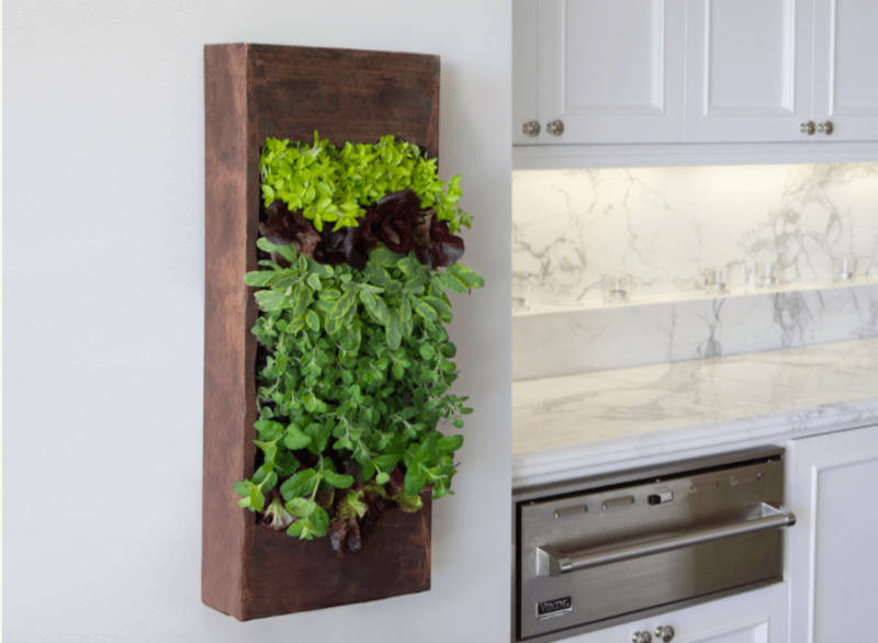 30个令人赞叹不已的生活墙设计创造自己的垂直花园,这或许从没见过的全花园式装修