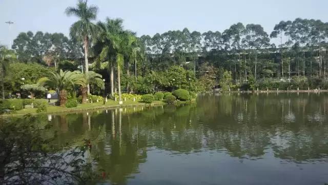 广州地铁沿线景点小孩子可以玩,广州6号线地铁有哪些旅游景点