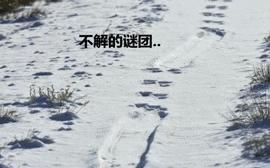 我想和这两个妹妹一起玩挠痒痒的游戏