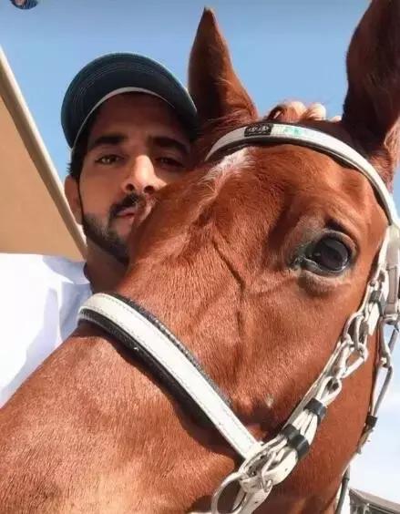 沙特最帅王子哈曼丹,阿联酋王子哈曼丹照片