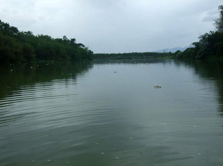 捕鱼技巧矿泉水瓶,爸爸捕鱼记