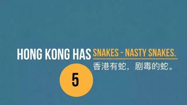 关于香港的小知识,关于香港的知识10个字