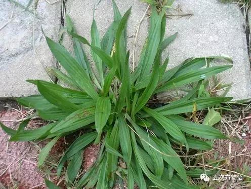 车到山前必有草,车到山前必有路山前山后都有