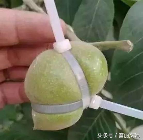 红木根雕值钱吗有收藏价值吗,红木家具一般是收藏还是实用