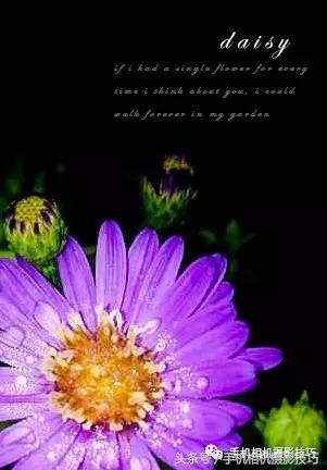 照片裁剪方法和技巧,一招教你怎么拯救照片