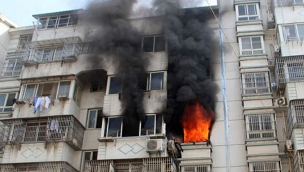 水猴子是可怕的动物吗,水猴有多可怕