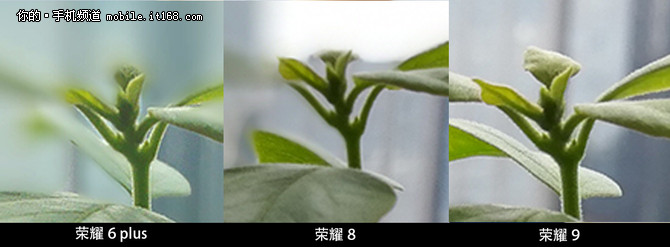 荣耀手机拍照对比评测,荣耀6p拍照对比