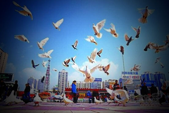 七月的赞歌,七月是首悠扬的赞歌