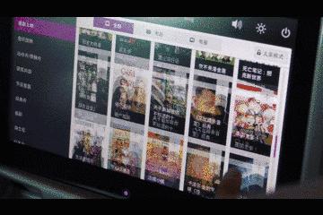 飞翔的新西兰人：这群人把10+小时的航班变成了一种乐趣